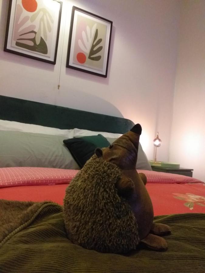 קינגסטון אפון הול Jesmond House B&B Room 1 מראה חיצוני תמונה